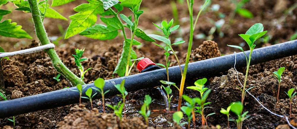 Drip Irrigation Pipe