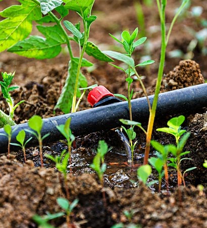 Drip Irrigation Pipe